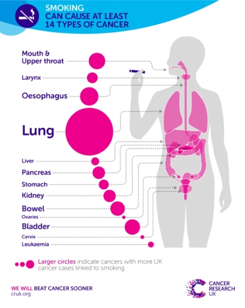 smoking-infographic2.jpg